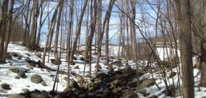 Ramapo Reservation